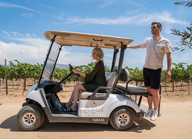 Recorrido en carro de golf dentro de El Cielo resort rodeado de viñas