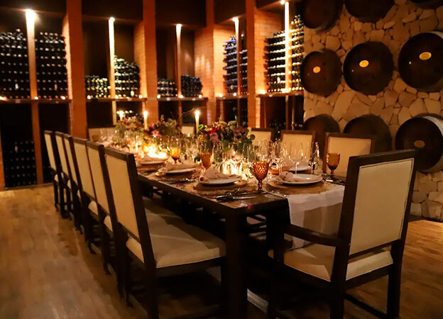 Mejores viñedos en Valle de Guadalupe con experiencia en enoteca