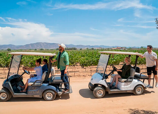 Paseo en carrito de golf en Valle de Guadalupe en Baja California