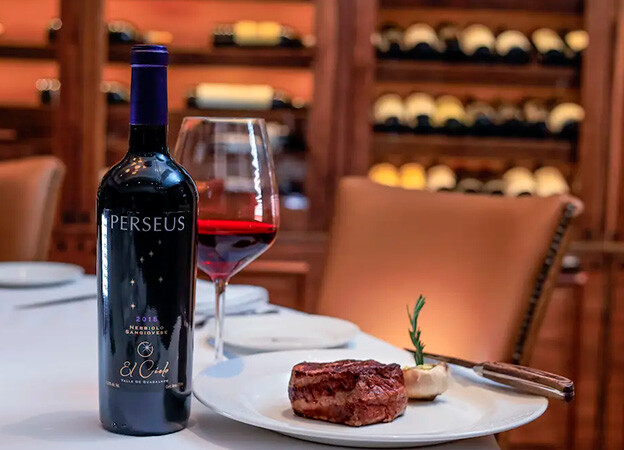 Terraza y degustación de vino en viñedo de México