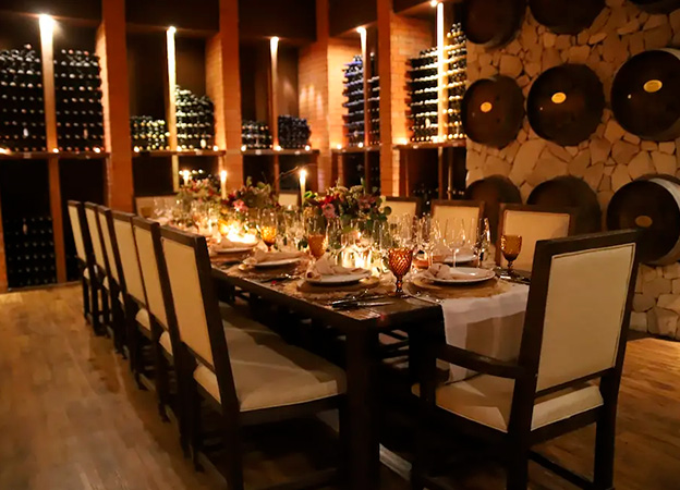 Top vineyards in Valle de Guadalupe with a wine trips
