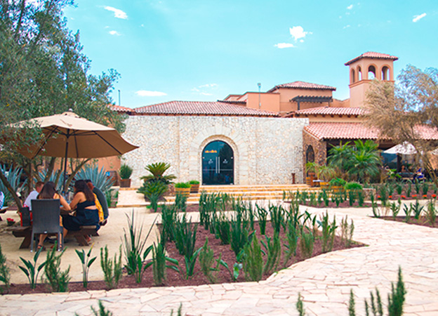 eventos corporativos valle guadalupe jardin vinicola