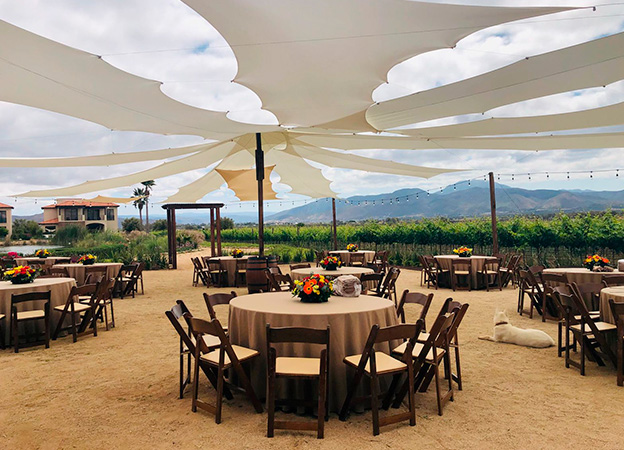 reuniones empresariales valle guadalupe bajo estrellas