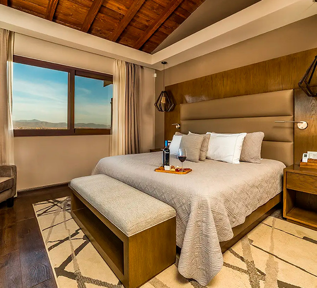 Vendimia en Valle de Guadalupe con El Cielo Resort