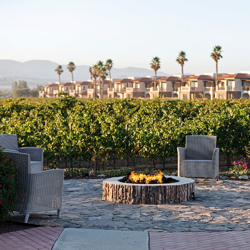 Baja's wine country