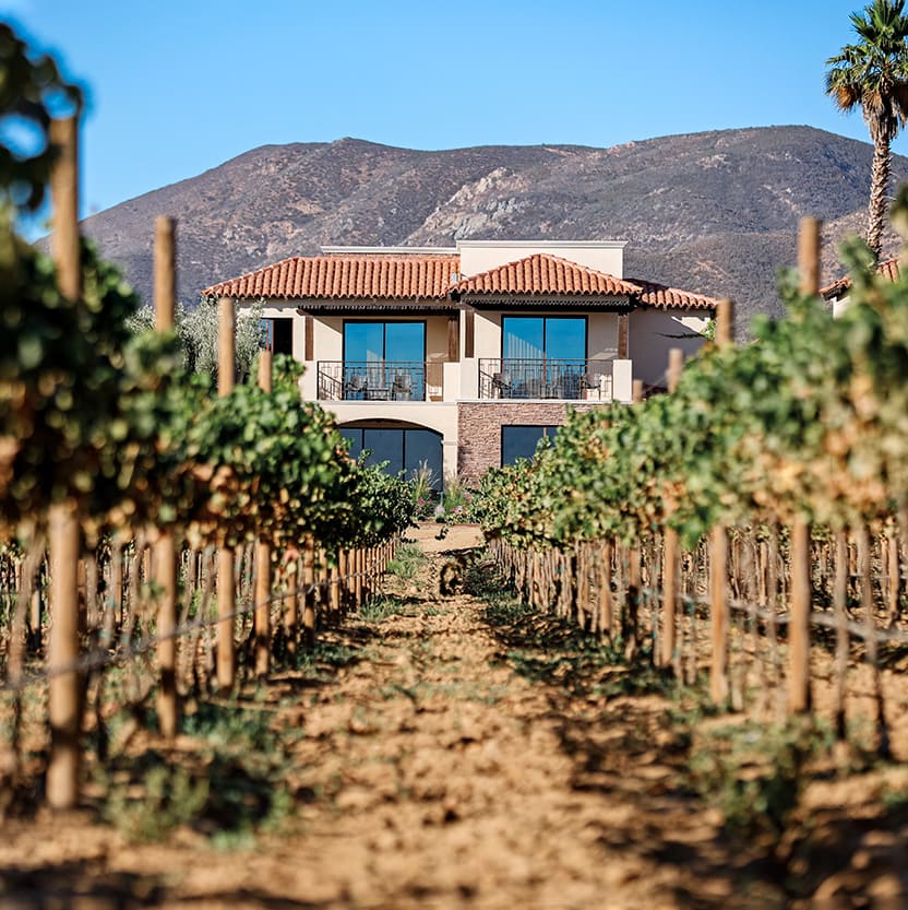 wineries guadalupe valley