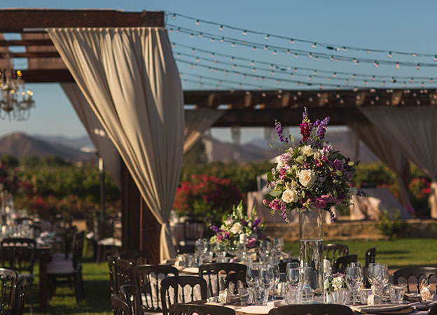 Wedding in a vineyard with a garden ceremony setup