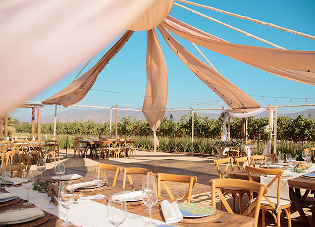 Wedding winery under the stars at El Cielo Resort vineyard
