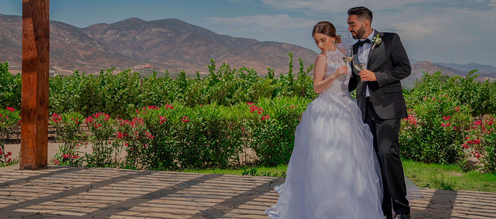 Celebre su boda en Valle de Guadalupe entre viñedos, image size:1920x851