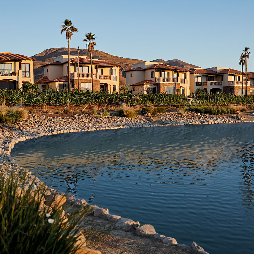 Resort wedding packages and honeymoons in Valle de Guadalupe