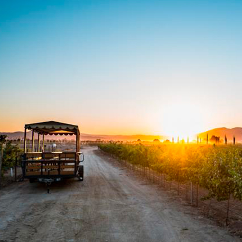 Couple enjoying a romantic carriage ride at El Cielo Resort