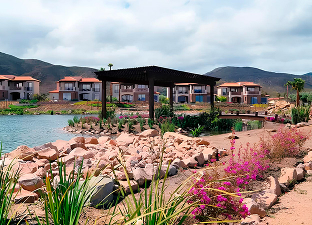 Top romantic spots to propose in Baja California’s wine región