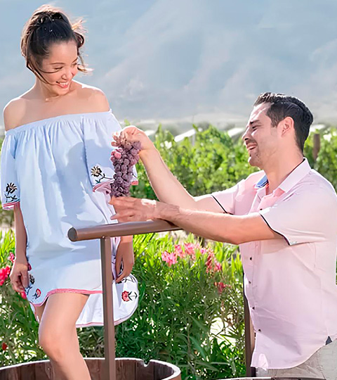 Professional proposal planner service at El Cielo Resort