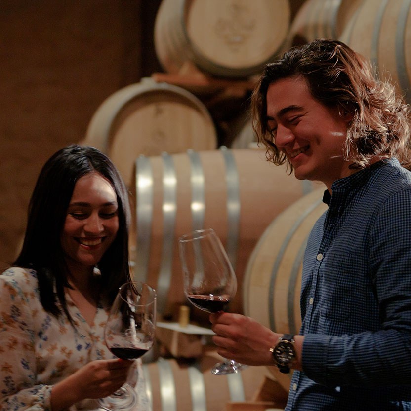 Vineyard celebration at El Cielo in Valle de Guadalupe