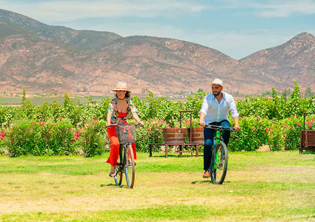 Anniversary gift ideas with bicycle vineyard tours