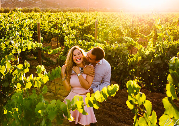 Anniversary gift ideas in a vineyard setting