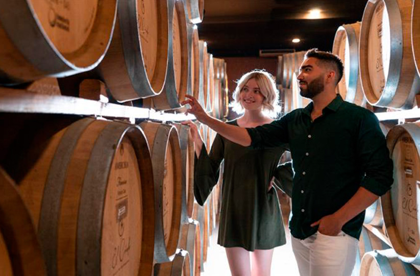 Vineyard walk during a Valle de Guadalupe visit