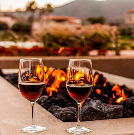 Firepit among the vines at one of the most charming hotels in Valle de Guadalupe Mexico
