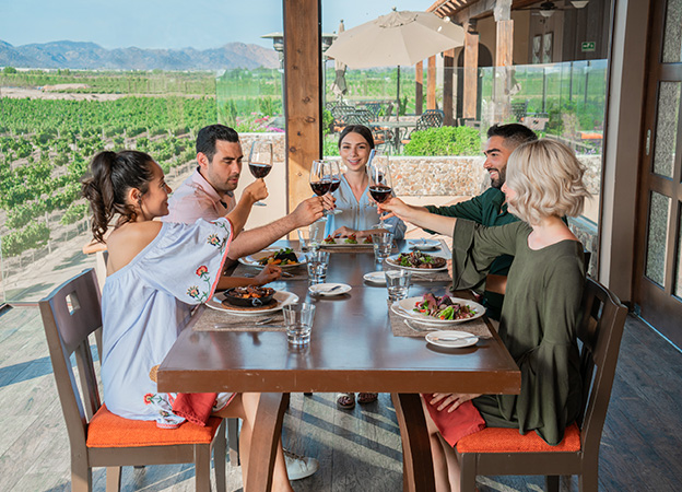 Vineyard views from the terrace of El Cielo, a premium hotel in Valle de Guadalupe