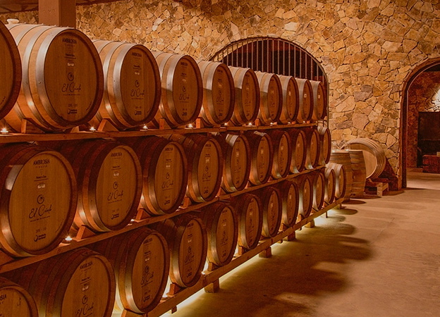 Vineyard bike tour from El Cielo, among the most scenic Valle de Guadalupe hotels