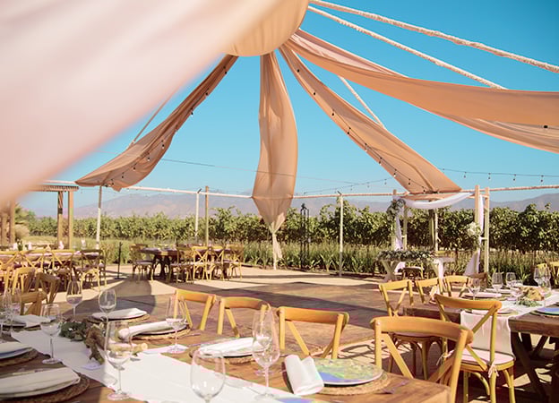 Bodas en viñedos Bajo las estrellas en El Cielo Resort