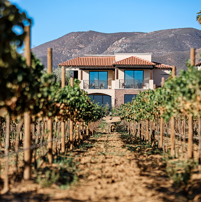 Descubre la magia de Cabañas El Cielo Valle de Guadalupe