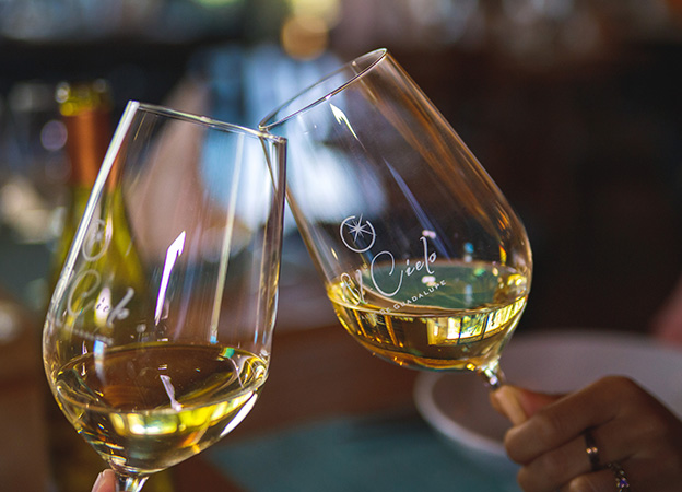 degustacion de vino en valle de guadalupe