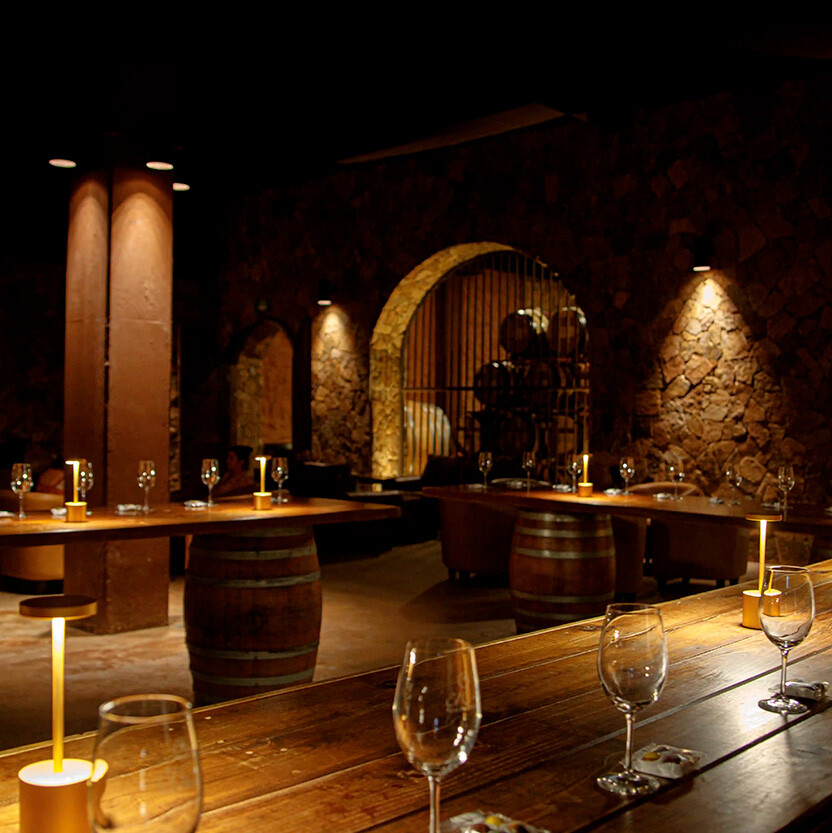 Degustación de vinos de El Cielo en la cava subterranea