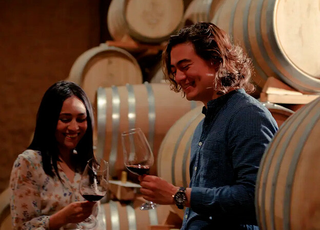 Viñedo en Baja California con cata de vinos en la cava